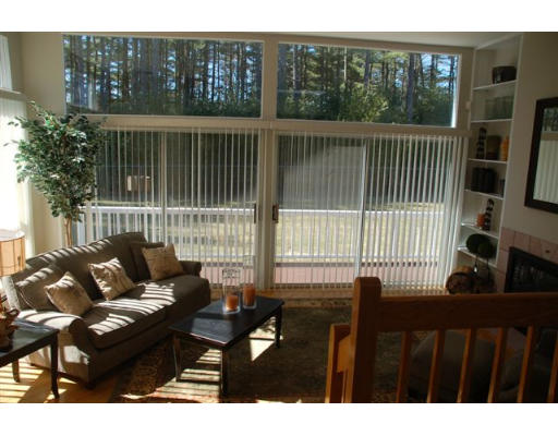 25 Whitman Road Needham, MA 02492 - Photo 6 of 24 Gallery Image 6