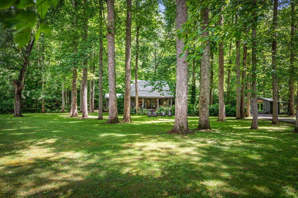 2977 Highway 2 Blue Ridge, GA 30513 - Photo 1 of 87 Main View