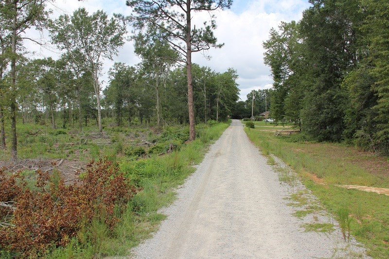 Limestone Road Orangeburg, SC 29118 - Photo 4 of 6 Photo 4