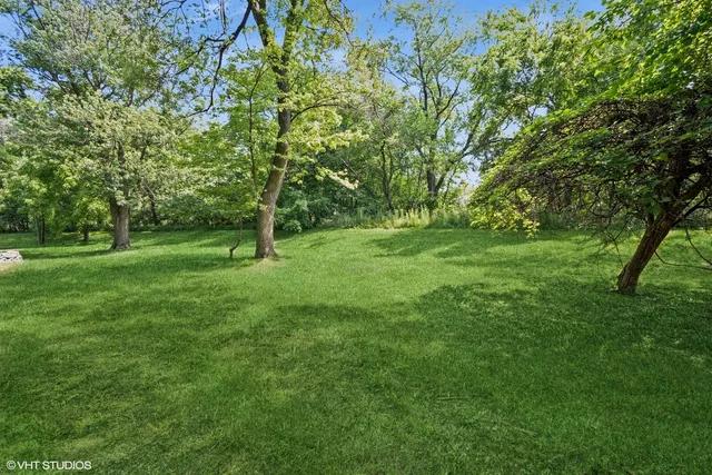 a view of a grassy field with trees