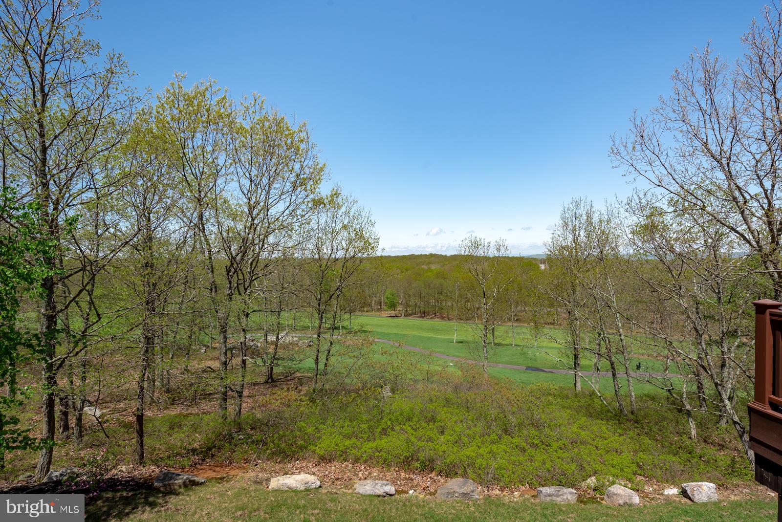 968 Scots Pne Lane Hazleton, PA 18202 - Photo 8 of 95 a view of a grassy area with an trees