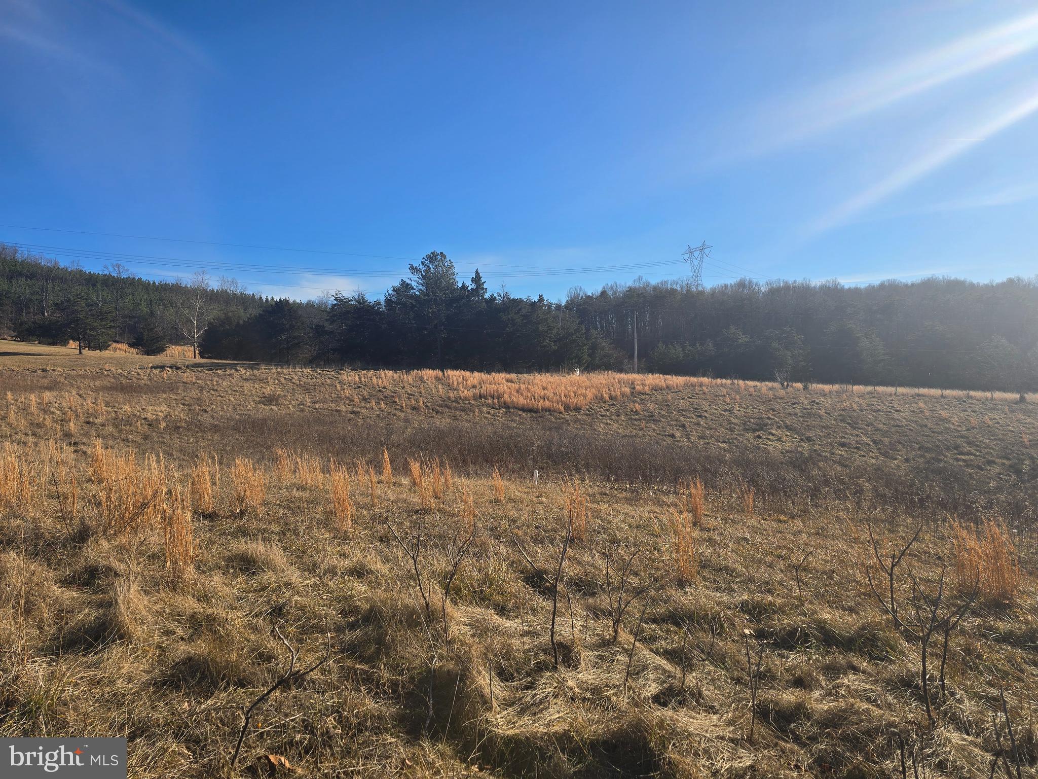 Spielman Road Berkeley Springs, WV 25411 - Photo 8 of 17