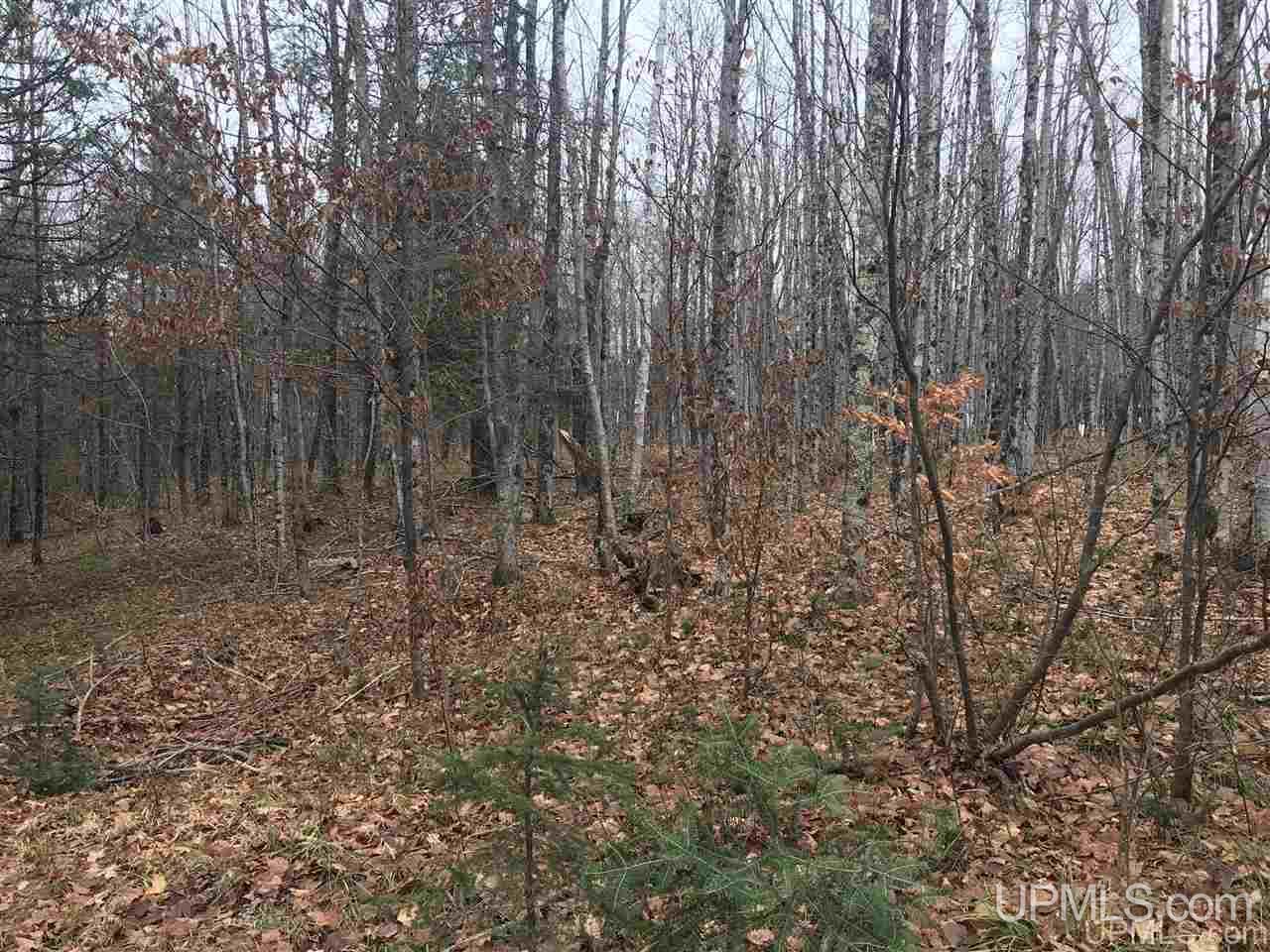 Tbd Off River Road, Unit 2 Hermansville, MI 49847 - Photo 28 of 34