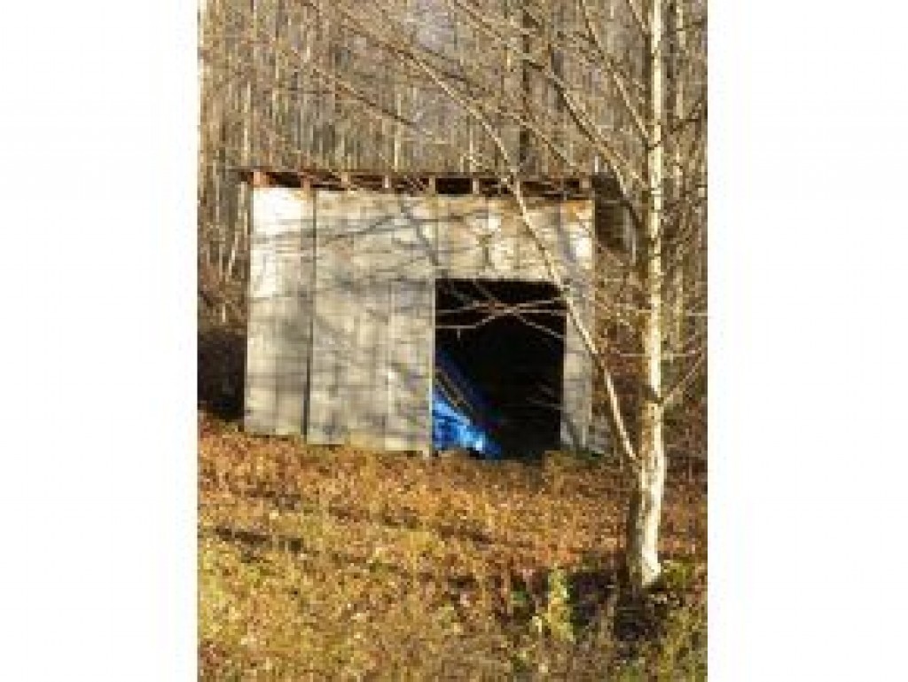 994 Howard Brook Road East Haven, VT 05837 - Photo 2 of 16 Gallery Image 2
