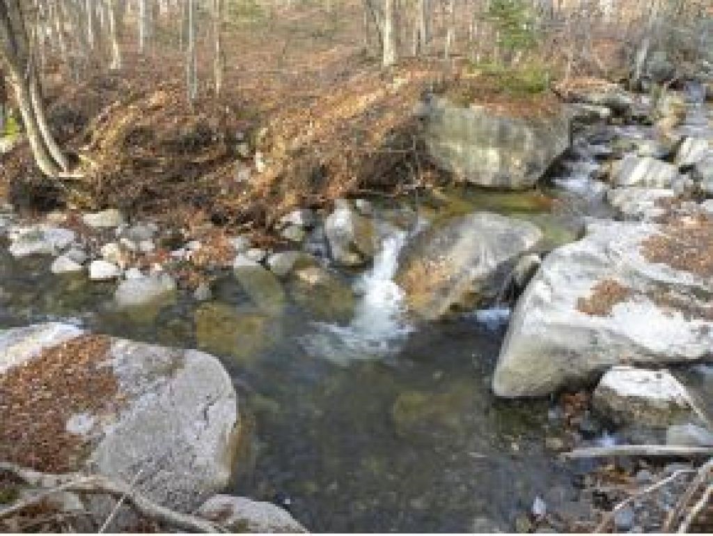 994 Howard Brook Road East Haven, VT 05837 - Photo 14 of 16 Gallery Image 14