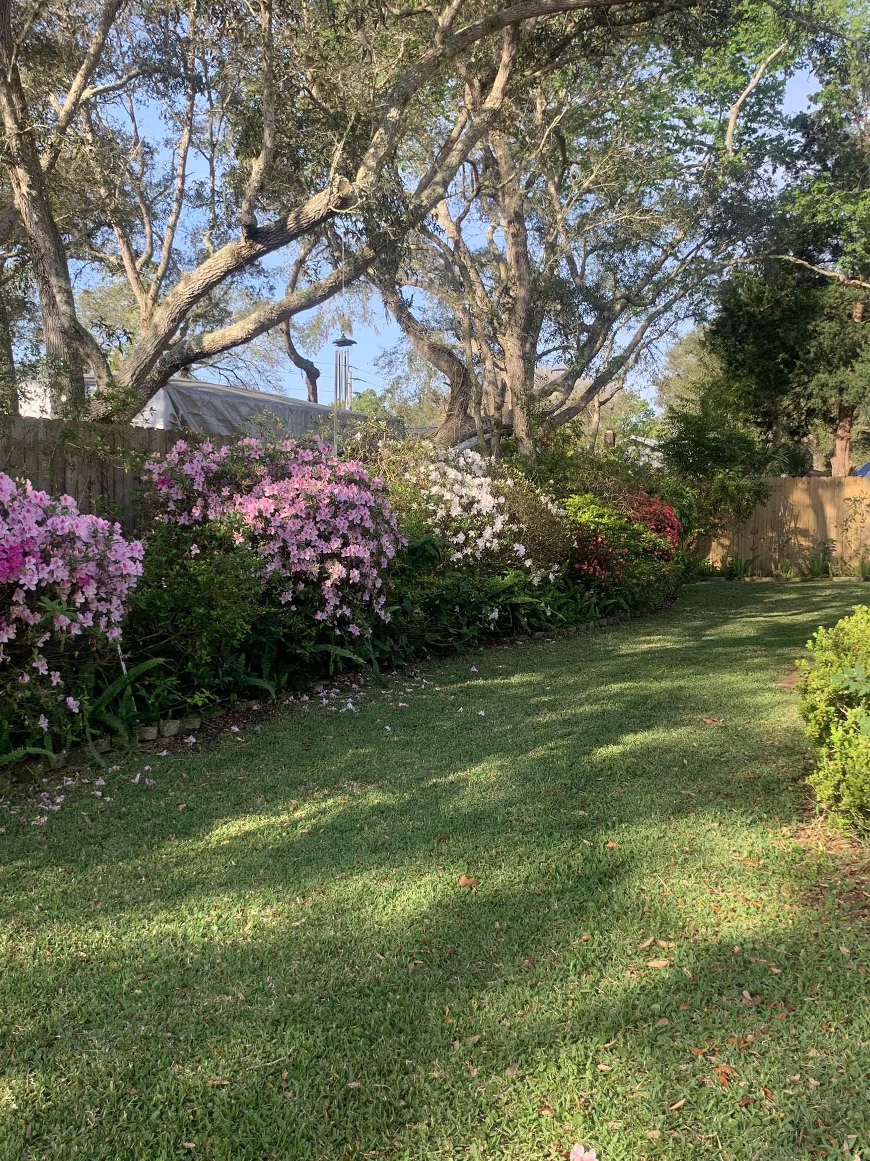 206 Tanager Road St. Augustine, FL 32086 - Photo 34 of 50 a view of a house with a big yard and large trees