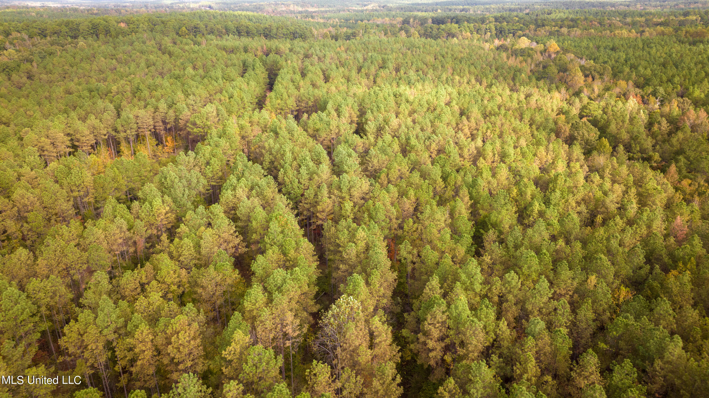 Natchez Trace/ Smith Road Ackerman, MS 39735 - Photo 23 of 30 DJI_0714