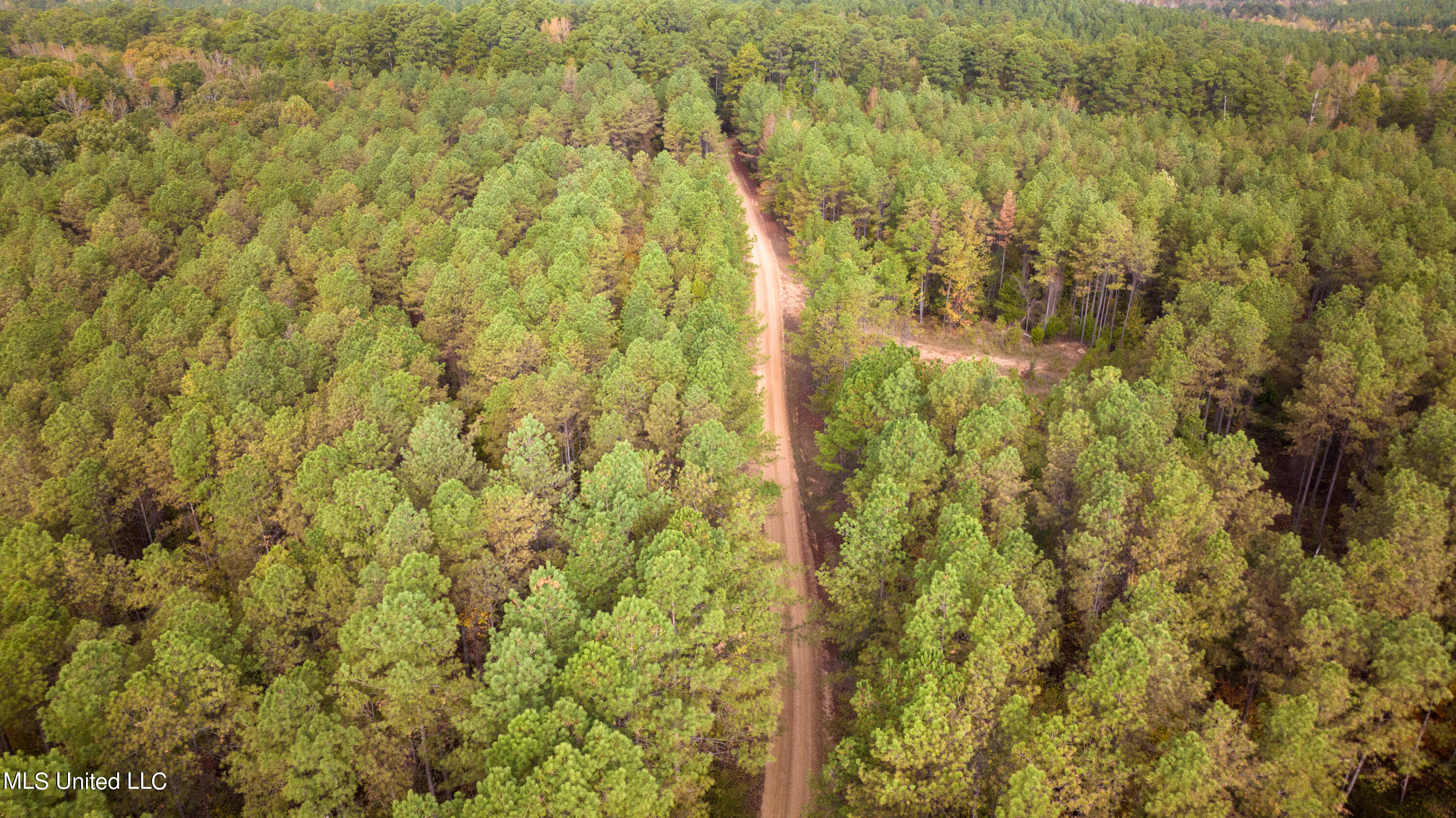 Natchez Trace/ Smith Road Ackerman, MS 39735 - Photo 25 of 30 DJI_0716