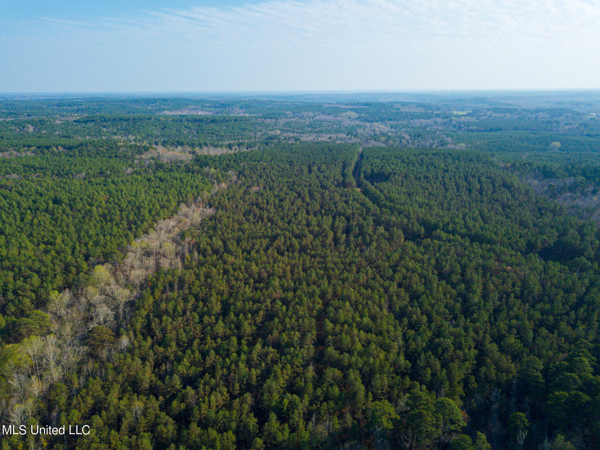 Natchez Trace/ Smith Road Ackerman, MS 39735 - Photo 7 of 30 DJI_0250