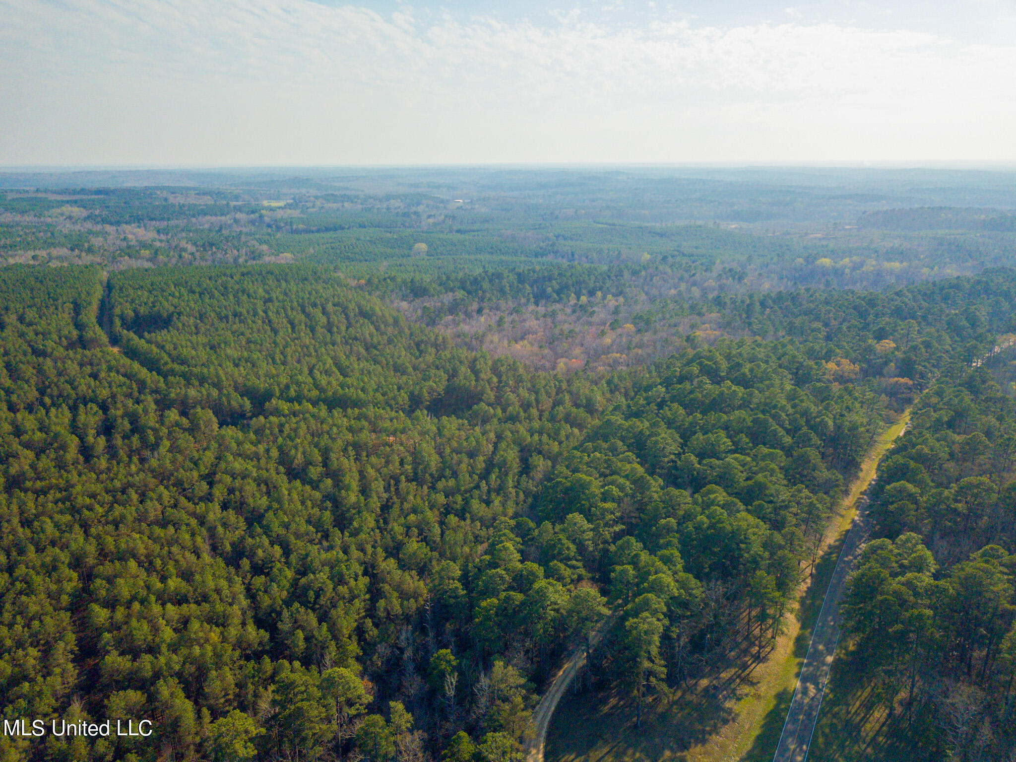 Natchez Trace/ Smith Road Ackerman, MS 39735 - Photo 8 of 30 DJI_0251