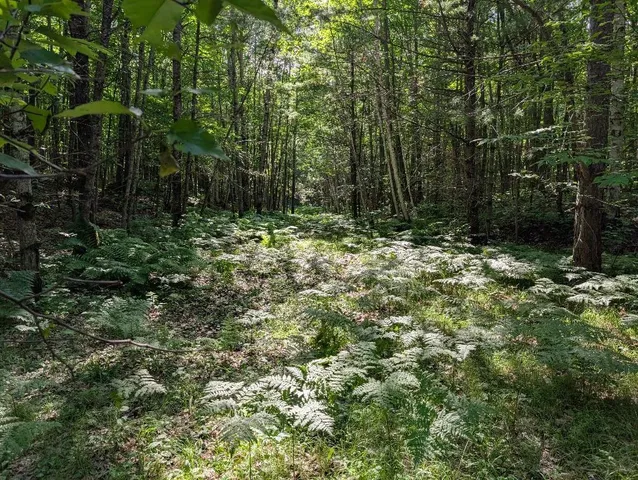 $175,000 | 0 Randysek Road, Cable, WI 54821