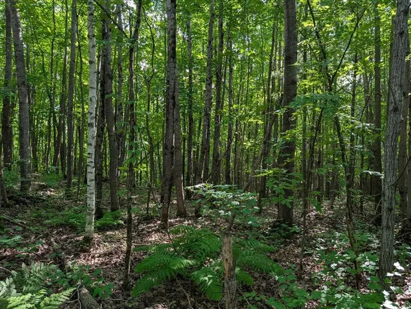 $200,000 | 0 Randysek Road, Cable, WI 54821