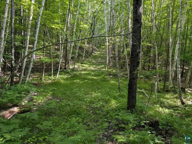 $175,000 | 0 Randysek Road, Cable, WI 54821