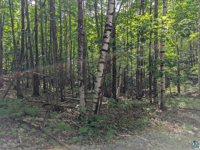 $175,000 | 0 Randysek Road, Cable, WI 54821