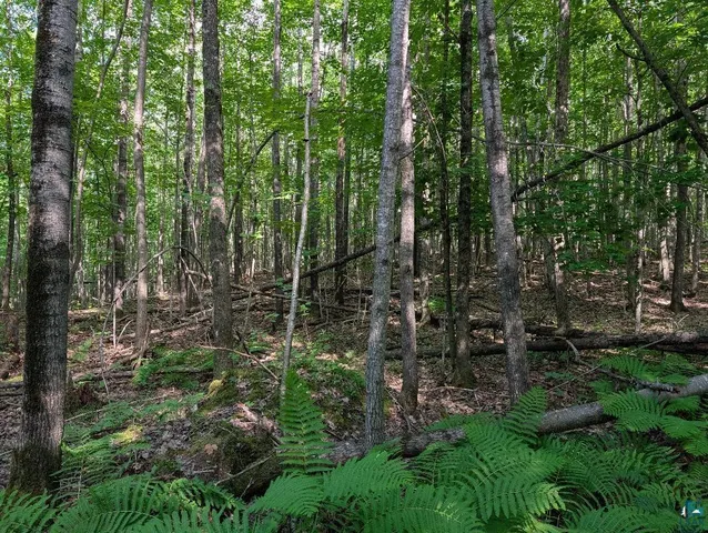 $175,000 | 0 Randysek Road, Cable, WI 54821