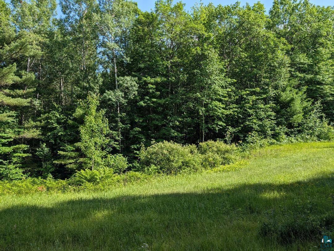 0 Randysek Road Cable, WI 54821 - Photo 24 of 26 View of woods