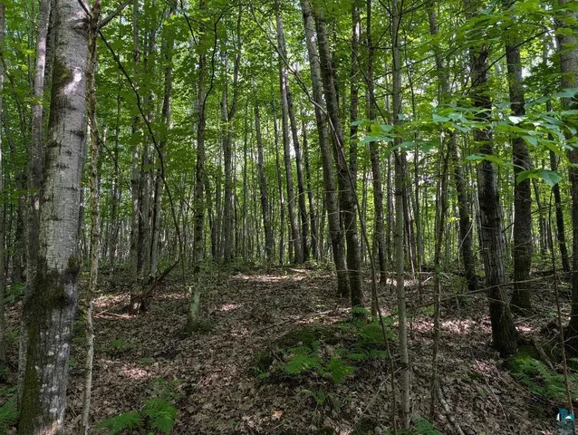 $175,000 | 0 Randysek Road, Cable, WI 54821