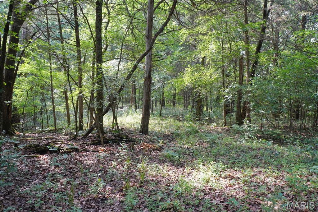 1971 Epple Road Hermann, MO 65041 - Photo 87 of 98