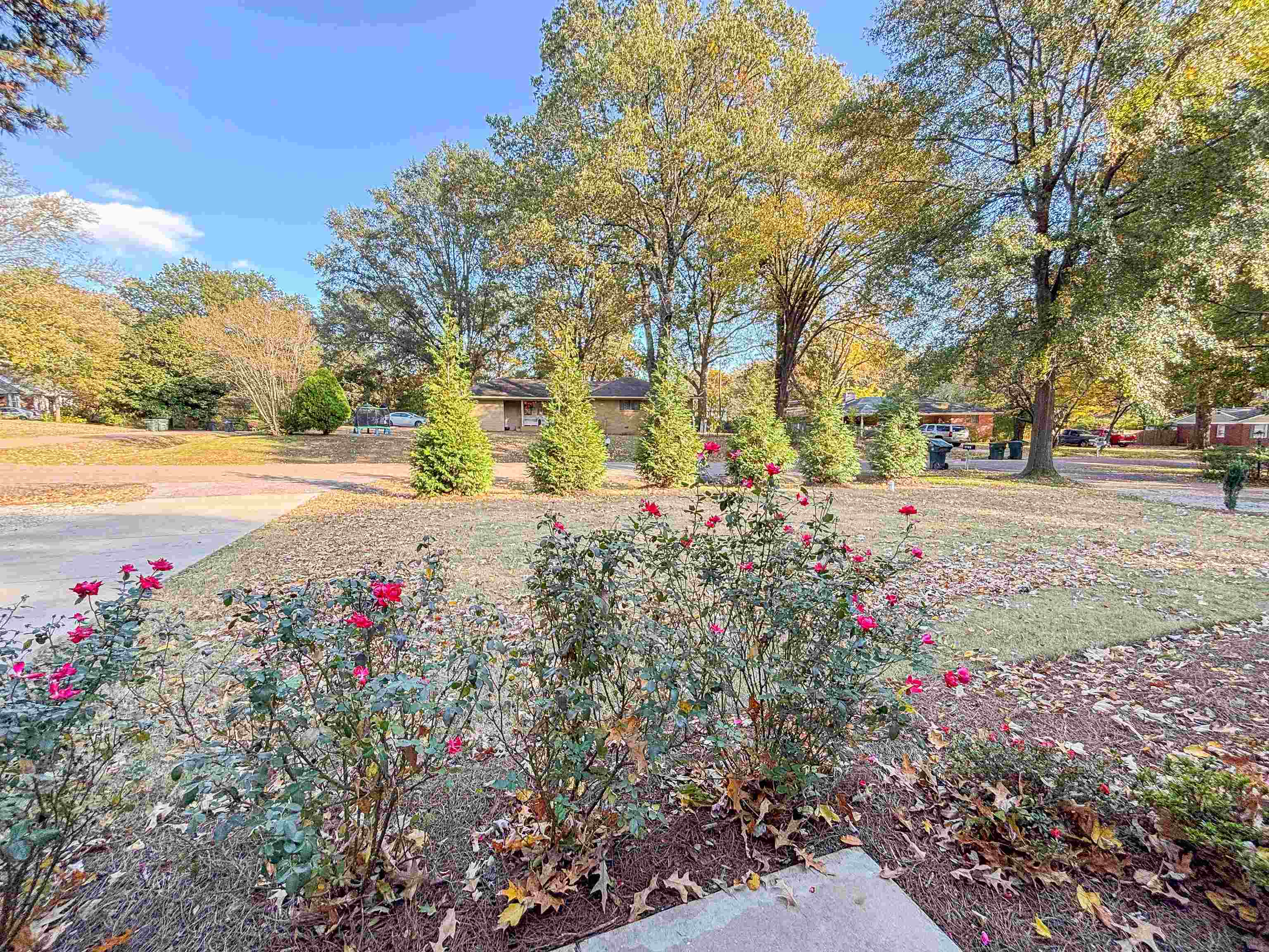 3057 Keats Road Bartlett, TN 38134 - Photo 4 of 23 View of green lawn