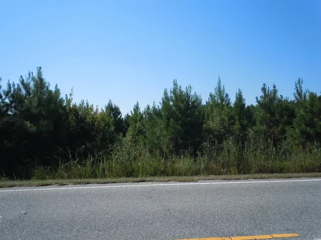 $279,900 | 10547 Andrew Jackson Highway, Fair Bluff, NC 28439