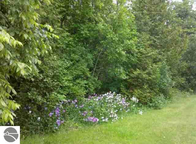 0 Stoney Point Road Cheboygan, MI 49721 - Photo 8 of 19 1726825-7.JPG