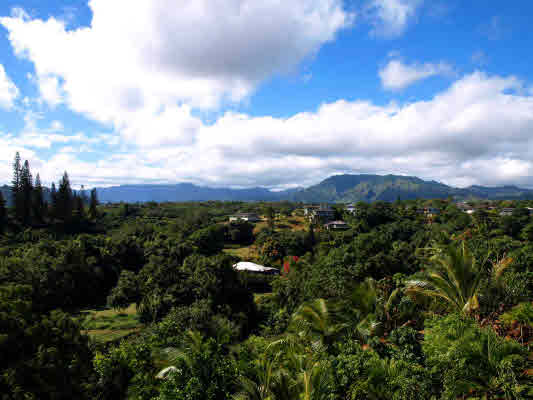 4701 Pelehu Road Kapaa, HI 96746 - Photo 11 of 21 Gallery Image 11
