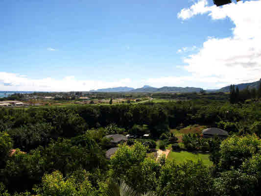 4701 Pelehu Road Kapaa, HI 96746 - Photo 9 of 21 Gallery Image 9