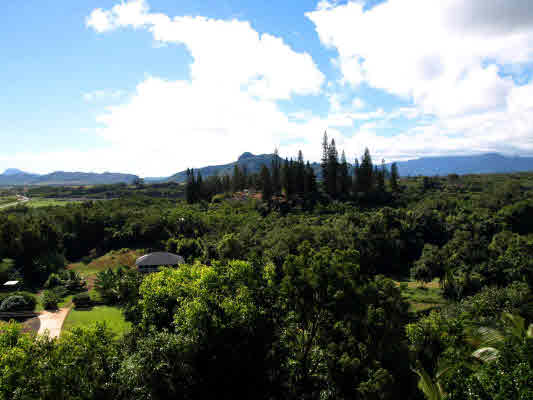 4701 Pelehu Road Kapaa, HI 96746 - Photo 10 of 21 Gallery Image 10