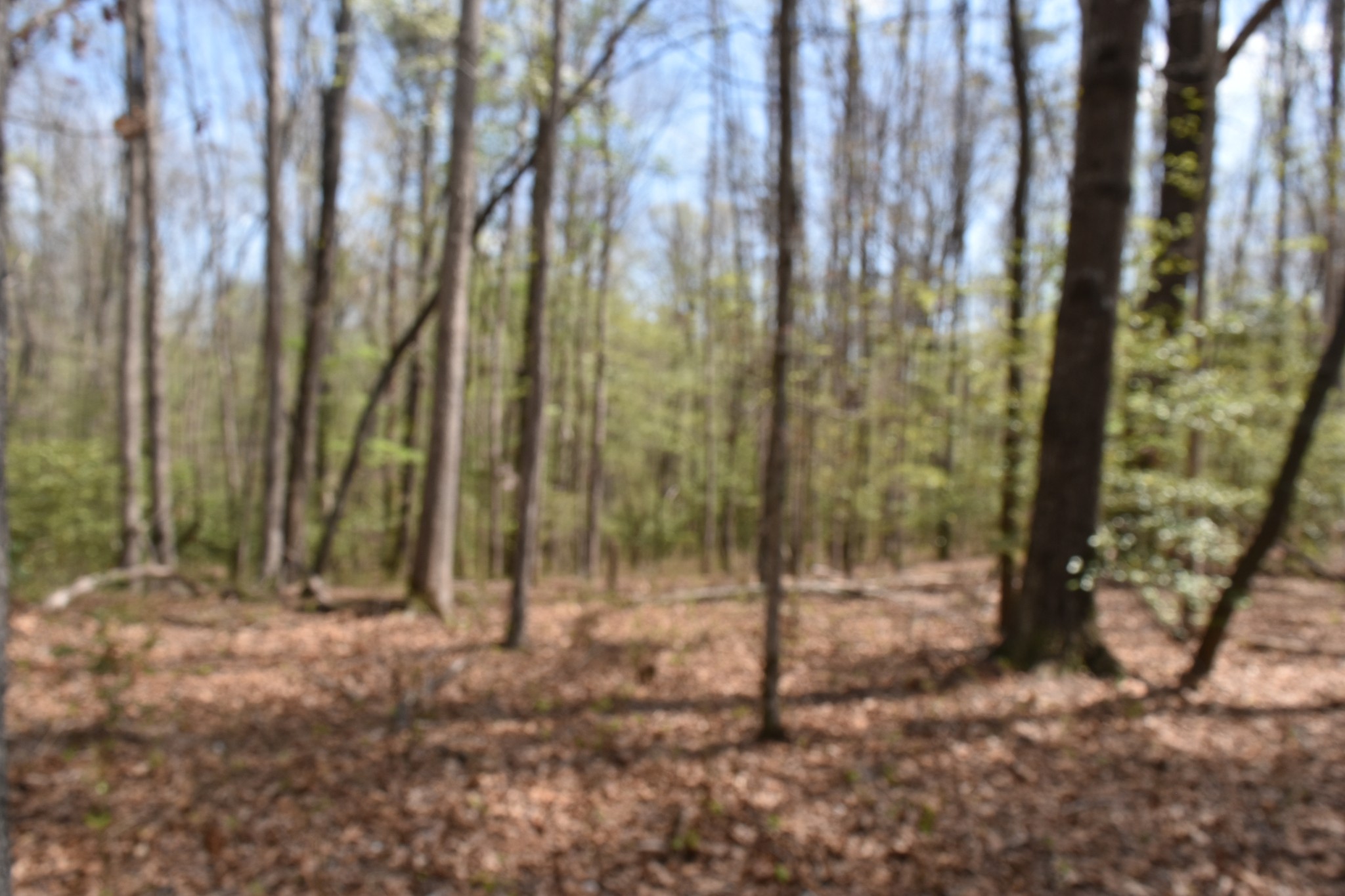 490 Haynes Road Sewanee, TN 37375 - Photo 28 of 28 Gallery Image 28