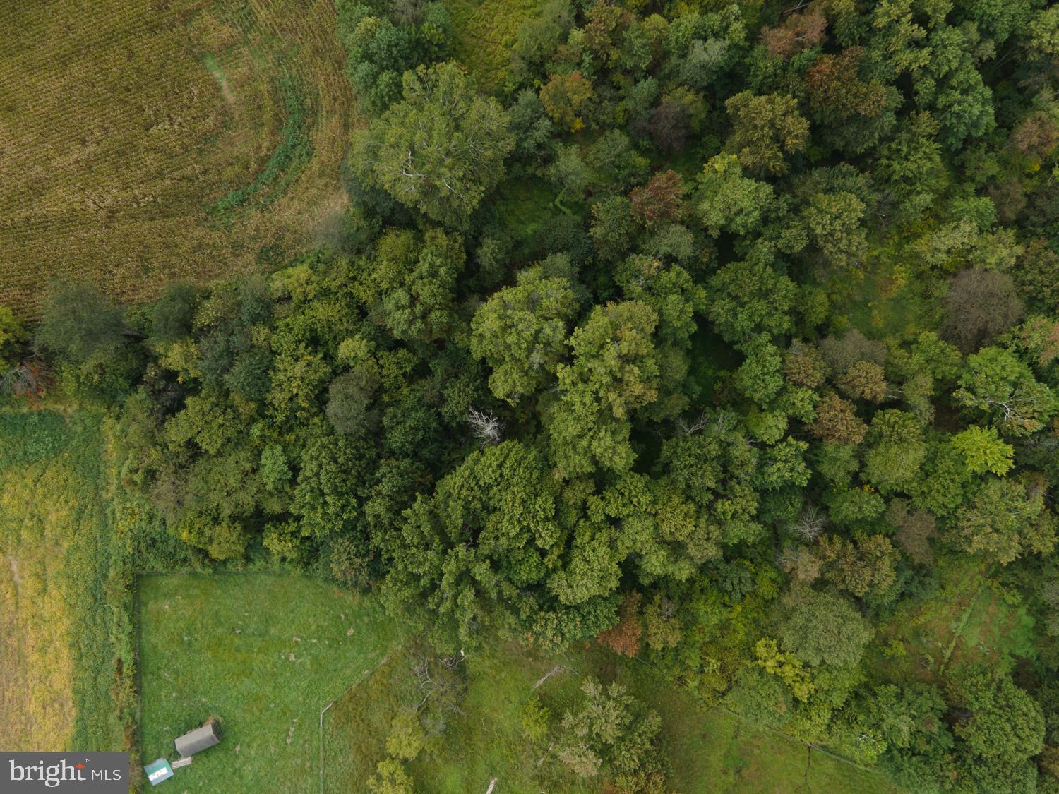 0 Holtwood Road Quarryville, PA 17566 - Photo 23 of 93