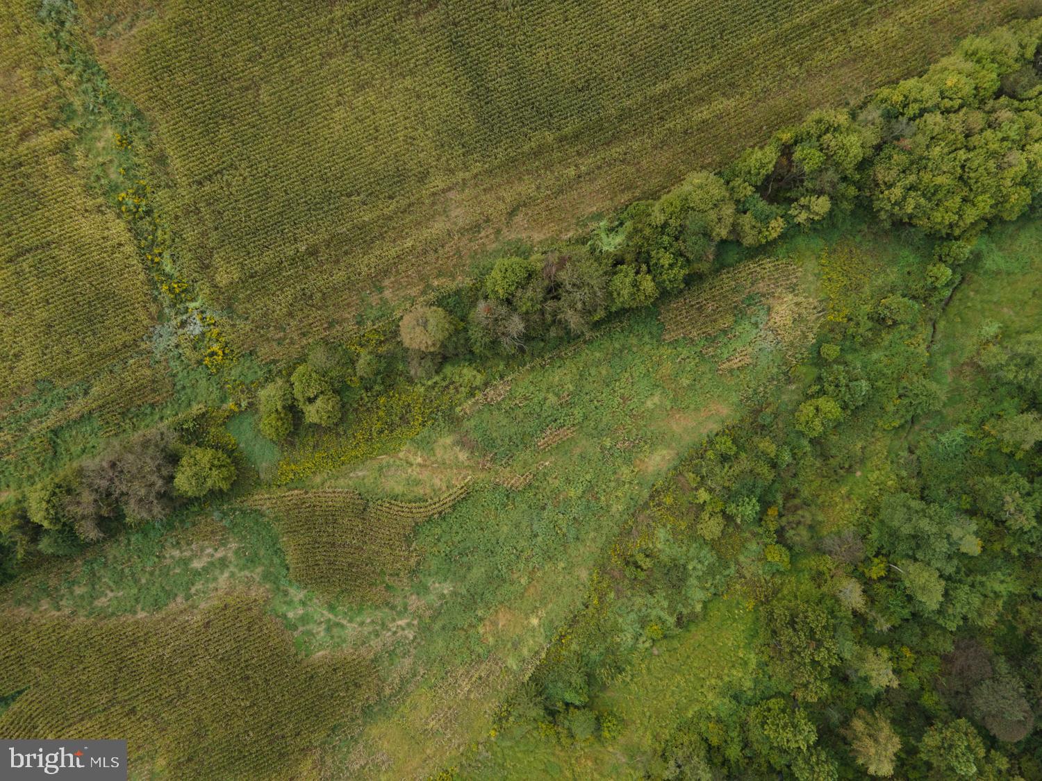 0 Holtwood Road Quarryville, PA 17566 - Photo 26 of 93