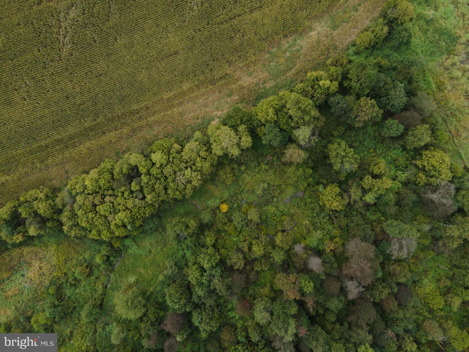 0 Holtwood Road Quarryville, PA 17566 - Photo 28 of 93