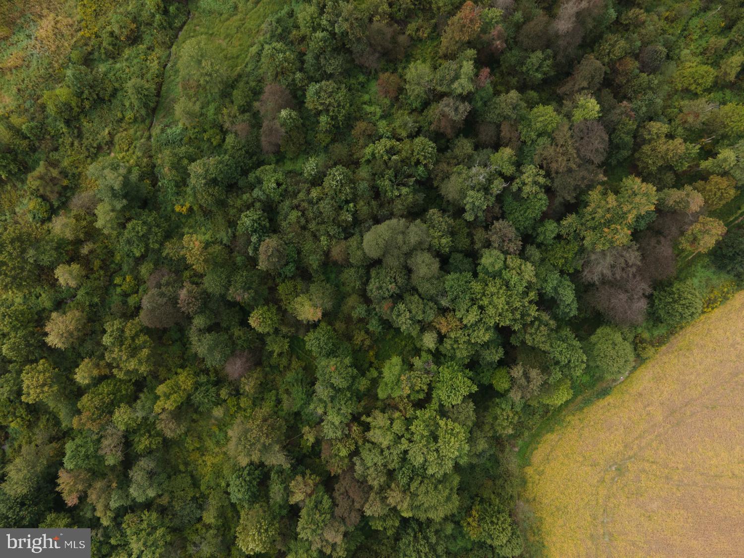 0 Holtwood Road Quarryville, PA 17566 - Photo 29 of 93