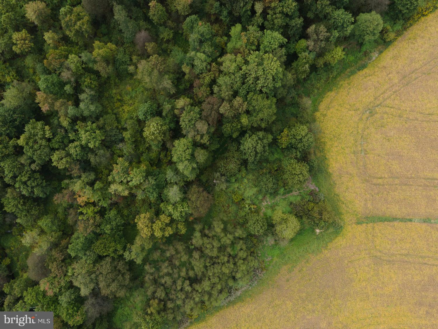 0 Holtwood Road Quarryville, PA 17566 - Photo 30 of 93