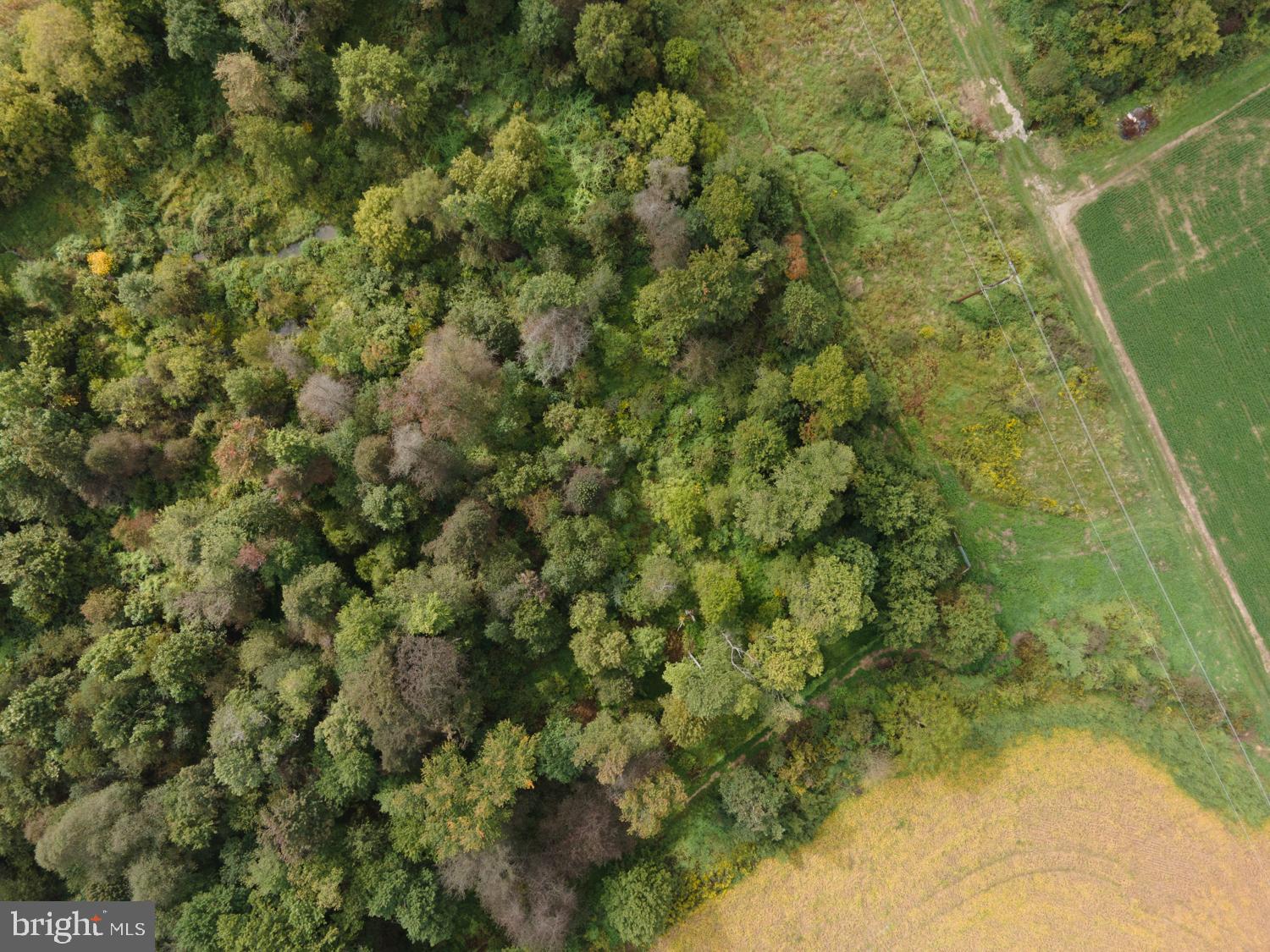 0 Holtwood Road Quarryville, PA 17566 - Photo 44 of 93