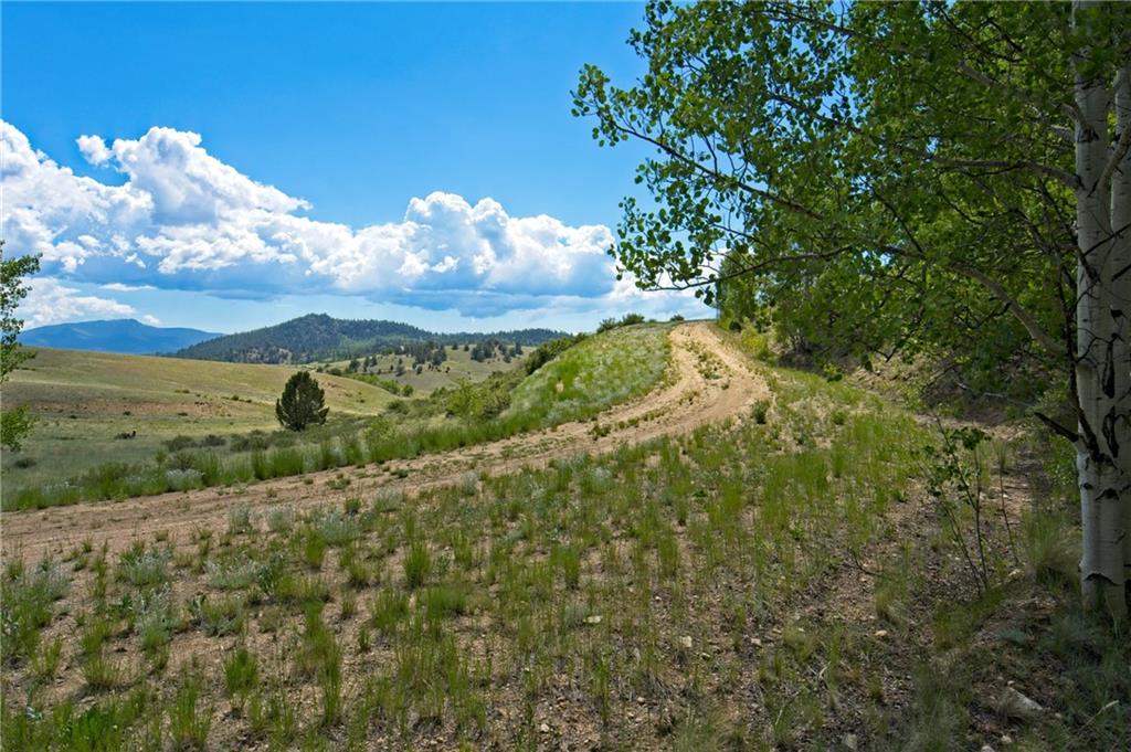 771 Arland Road Como, CO 80432 - Photo 2 of 14 a view of a bunch of trees in a field