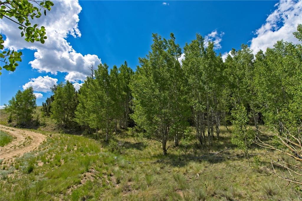 771 Arland Road Como, CO 80432 - Photo 11 of 14 a view of flowers in middle of the green field