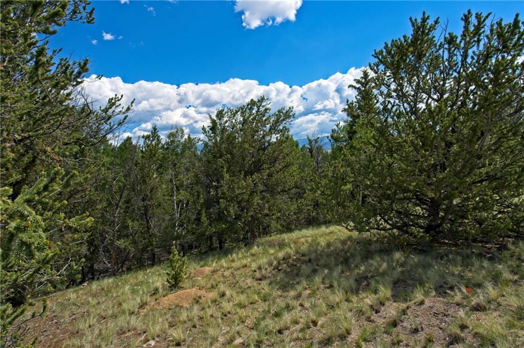 771 Arland Road Como, CO 80432 - Photo 3 of 14 a view of a bunch of trees and bushes