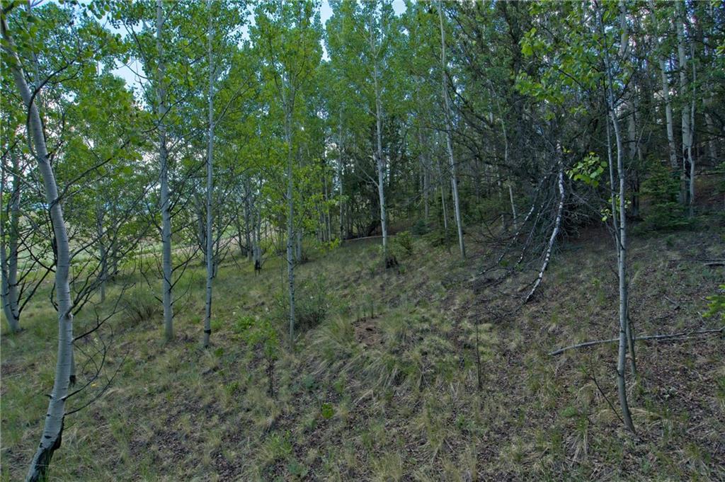 771 Arland Road Como, CO 80432 - Photo 6 of 14 a view of a forest that has large trees