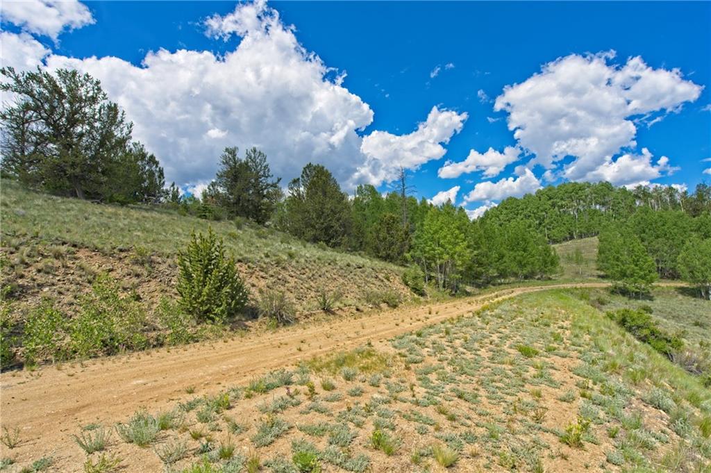 771 Arland Road Como, CO 80432 - Photo 7 of 14 a view of a bunch of flowers in it