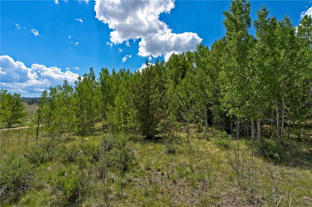 771 Arland Road Como, CO 80432 - Photo 9 of 14 a view of a bunch of trees in a yard