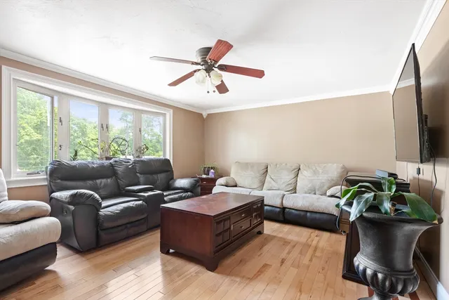 a living room with furniture ceiling fan and a window