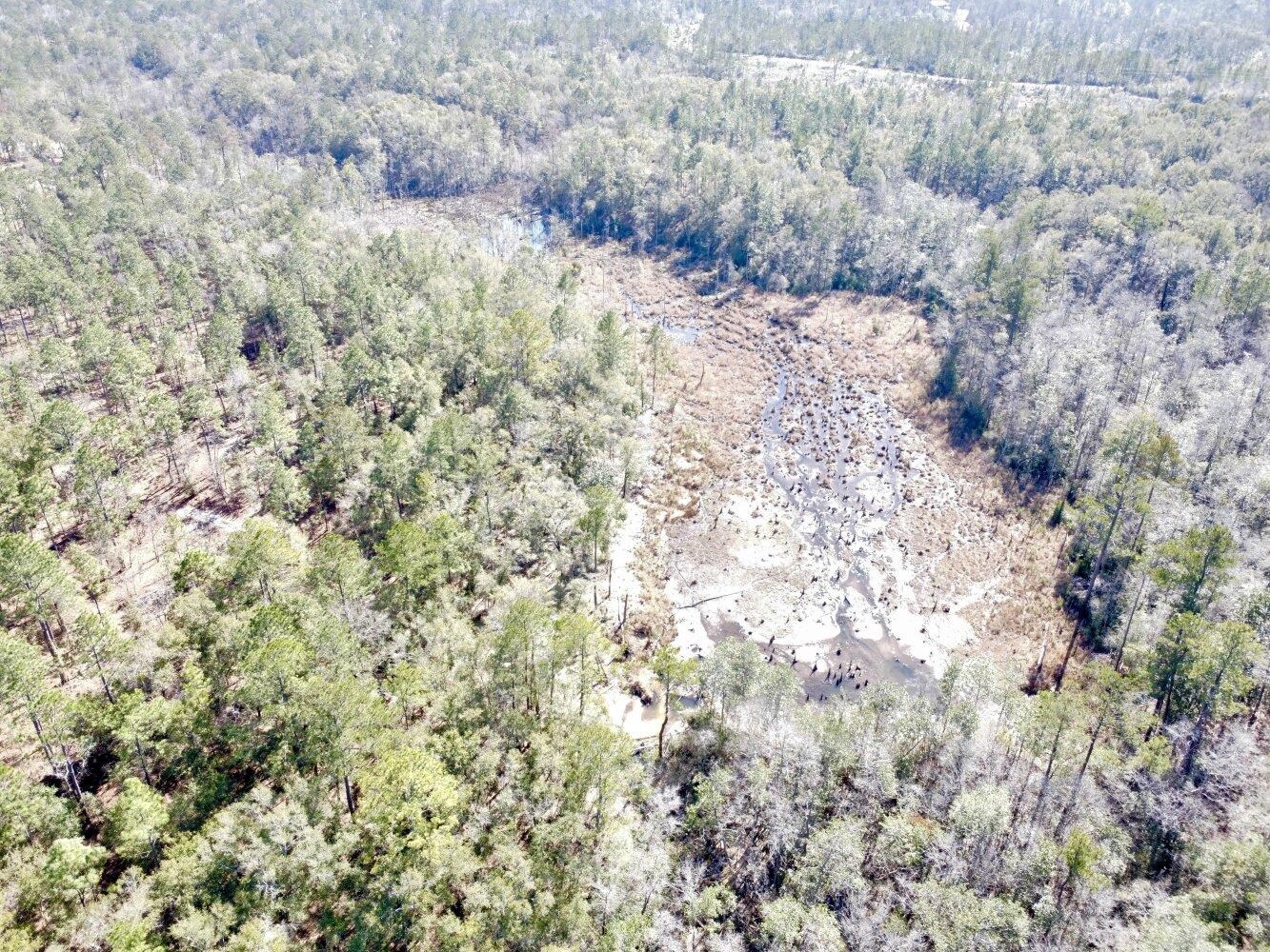 0 Dixon Road Bay Minette, AL 36507 - Photo 6 of 50