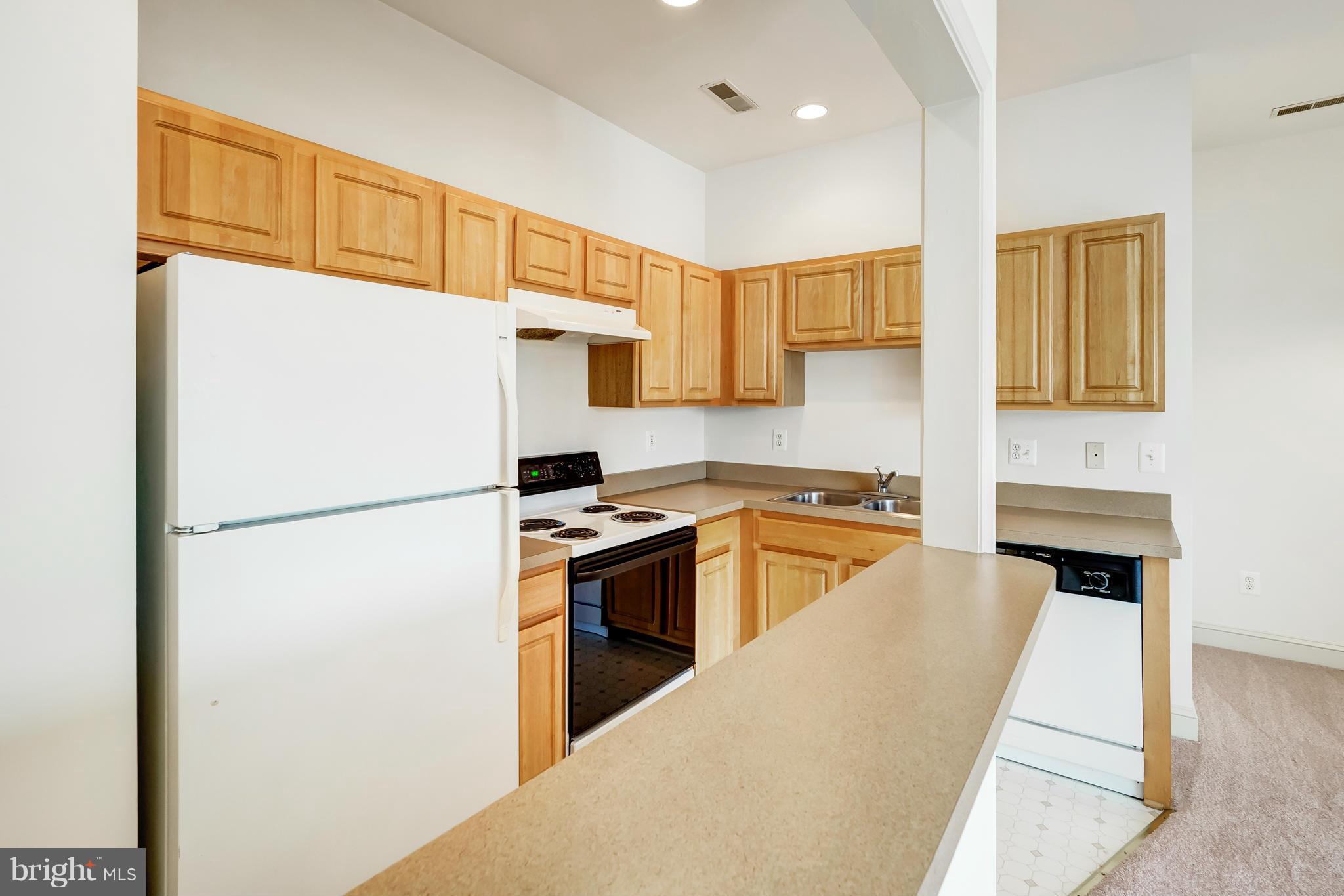 104 Dry Mill Road Southwest, Unit 301 Leesburg, VA 20175 - Photo 8 of 23 Kitchen