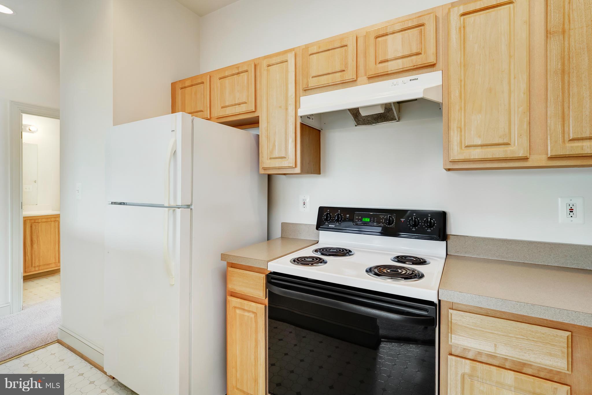 104 Dry Mill Road Southwest, Unit 301 Leesburg, VA 20175 - Photo 9 of 23 Kitchen