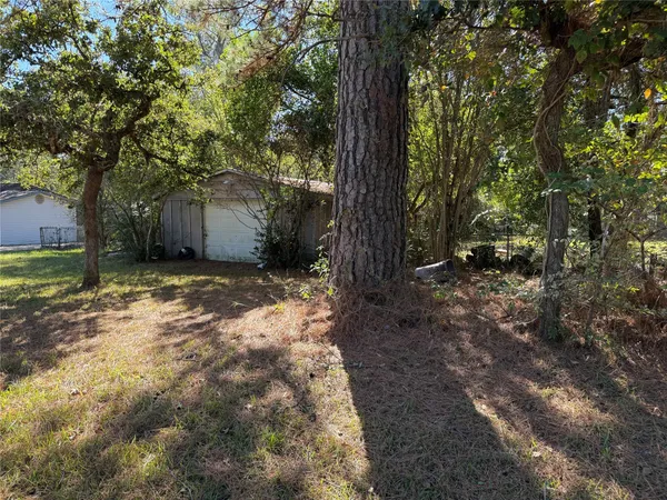 a view of a yard with trees