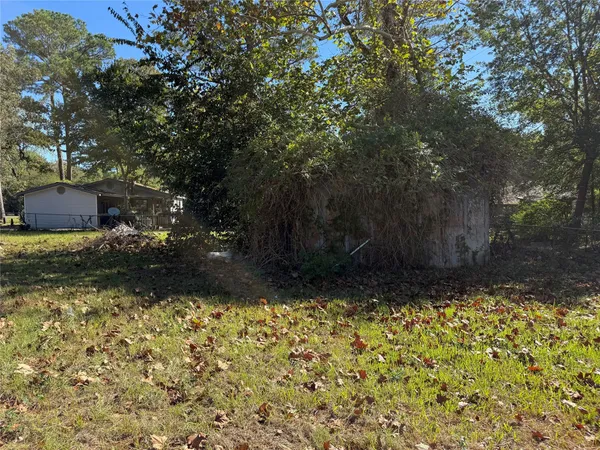 a view of backyard with tree