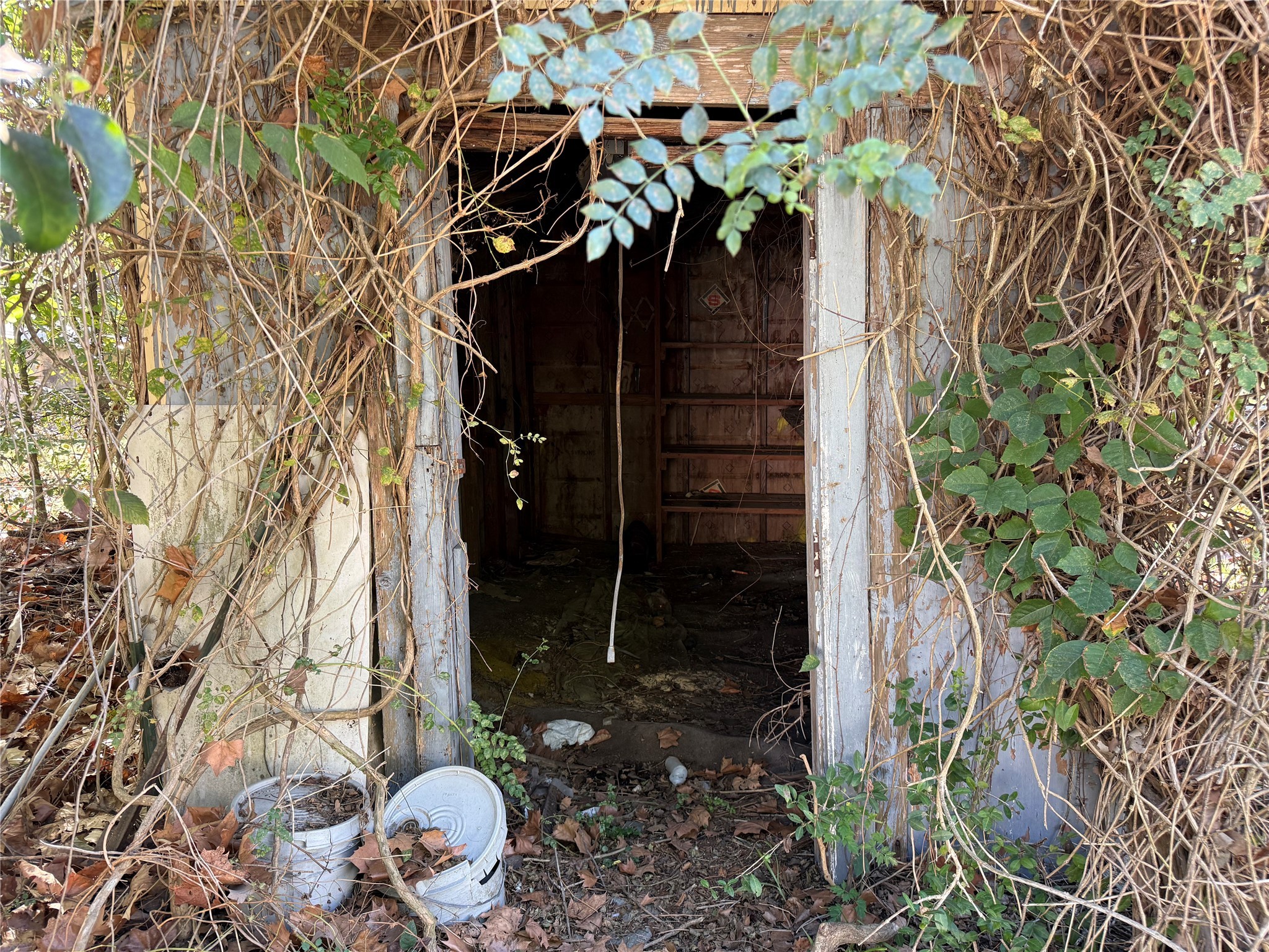 Lot 1 Easy Street Magnolia, TX 77355 - Photo 8 of 9 a view of a plant