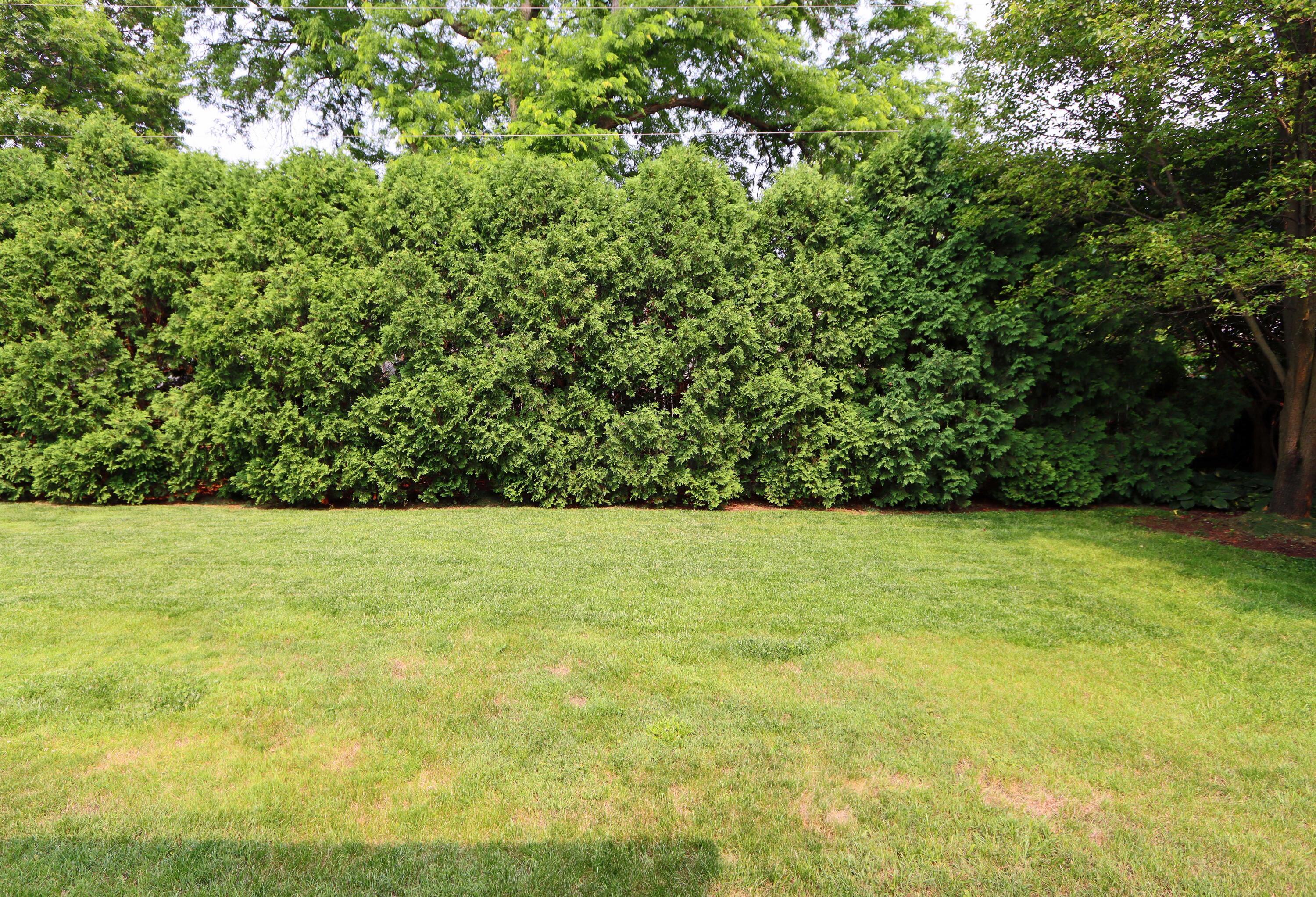 3974 Reed Road Columbus, OH 43220 - Photo 62 of 74 IMG_1865_edited-1