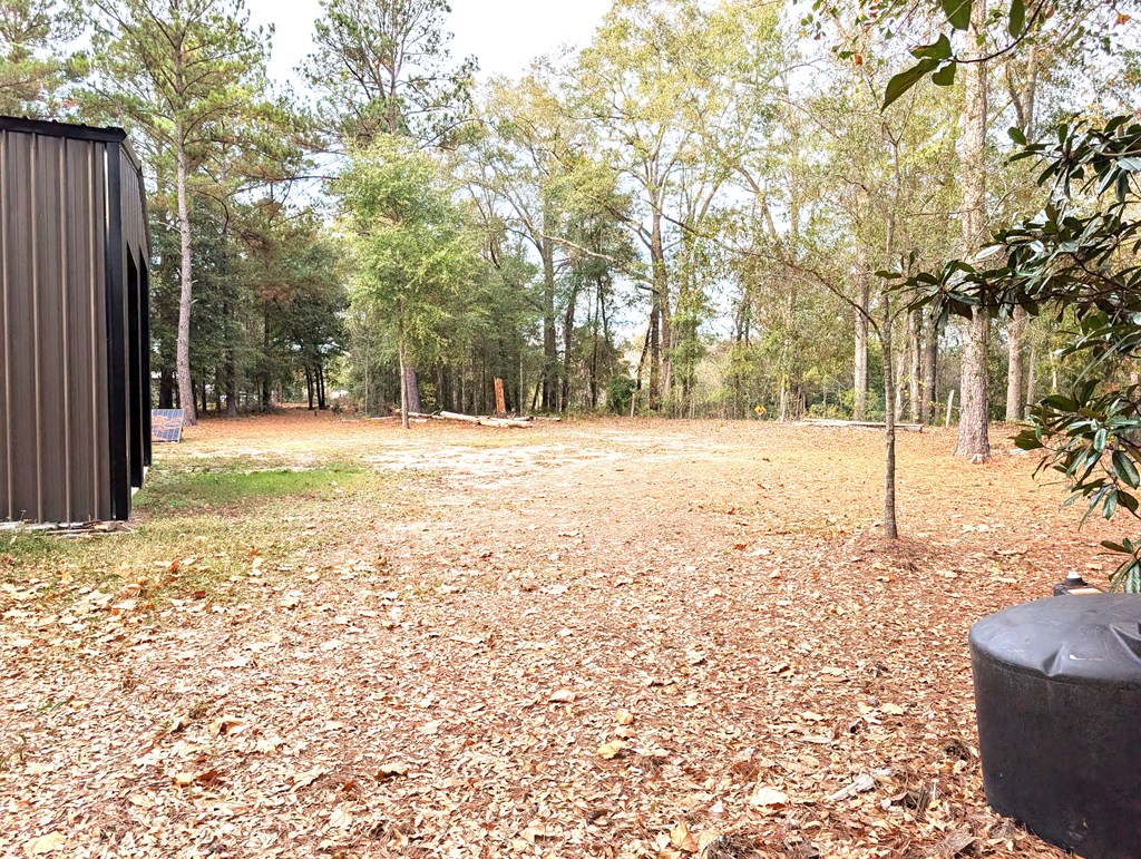 100 Womack Road Ashford, AL 36312 - Photo 11 of 12